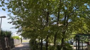 Юрген посадил меня на диету и оставил без лазаньи. Приготовит ли он обед?