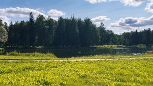 Гатчина 🍃 Парк «Зверинец"