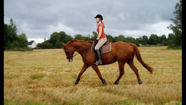 Faustine - at the beginning смотреть онлайн