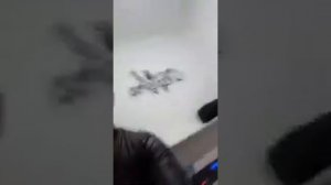 NICOLAS OLIVERA  17 4 2020      70132