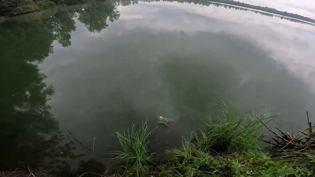 рыбалка на убийца карася! смотреть онлайн