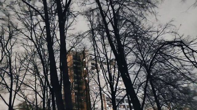 VID 20230308 235027 Взглянешь в зеркало морское...1869 (Михай Эминеску)...Павел Васильев Лахтинский смотреть онлайн