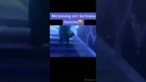 Moyloving zor bolmasa buncha 🤣🤣😂😂😂😂🤭🤭😜😜🤪😎