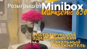 Забудьте про сухой воздух, есть готовое решение || Увлажнение воздуха в квартире или коттедже ||