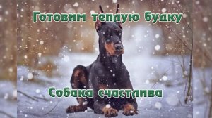 Как сделать теплую будку у добермана :часть 1 теплая будка своими руками