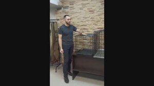 Сравнение клеток