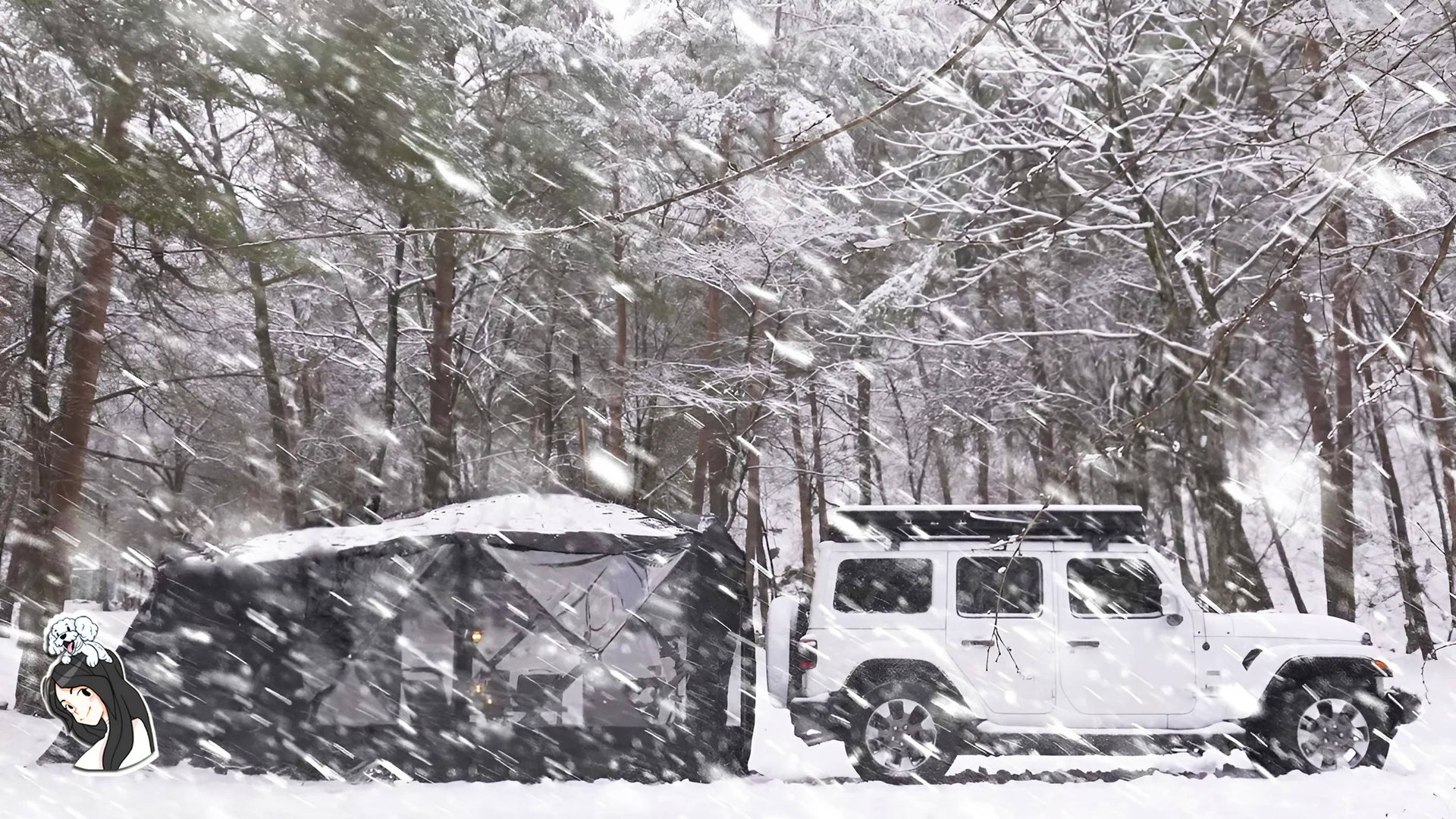 -15°C, Уютный одиночный кемпинг в метель❄️ㅣШум снега | АСМР природа смотреть онлайн