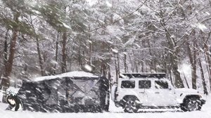 -15°C, Уютный одиночный кемпинг в метель❄️ㅣШум снега | АСМР природа