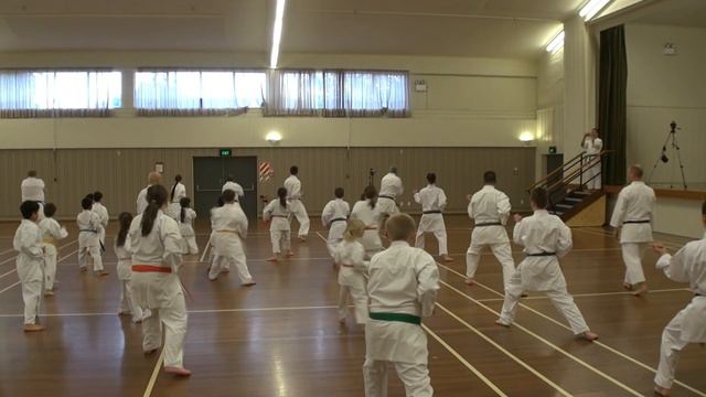 wrka soke kubota 2011 10 27 sess1 05j kata kihon Yon No Kata by count part4 смотреть онлайн