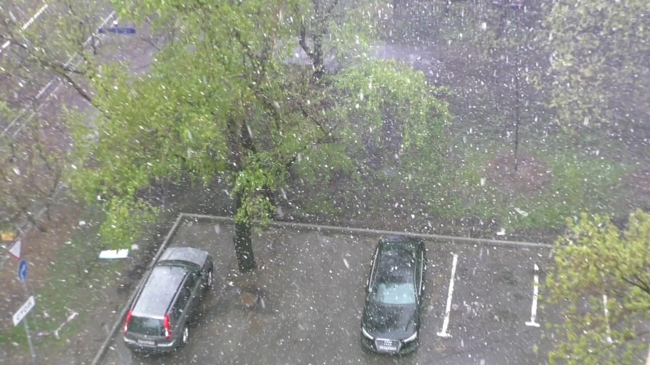 Снег в Москве. 08.05.17
