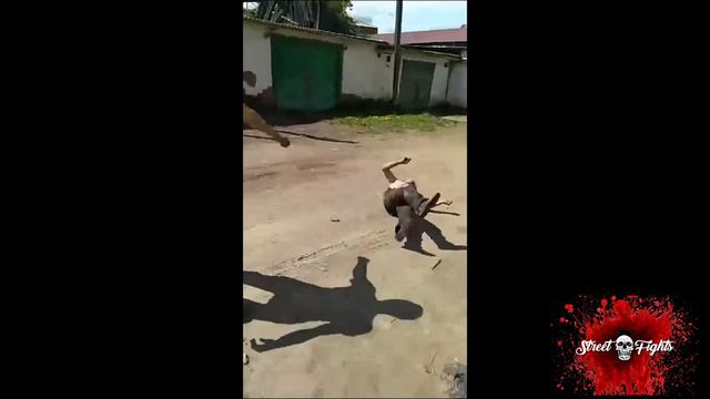 Crazy Knockouts Fight Compilation Street Fighting