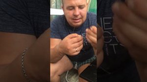 Донная снасть на осетра!