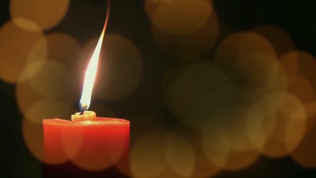 Lectura del SANTO EVANGELIO DE HOY sábado 31 de Julio de 2021 ( la muerte de Juan el Bautista) смотреть онлайн