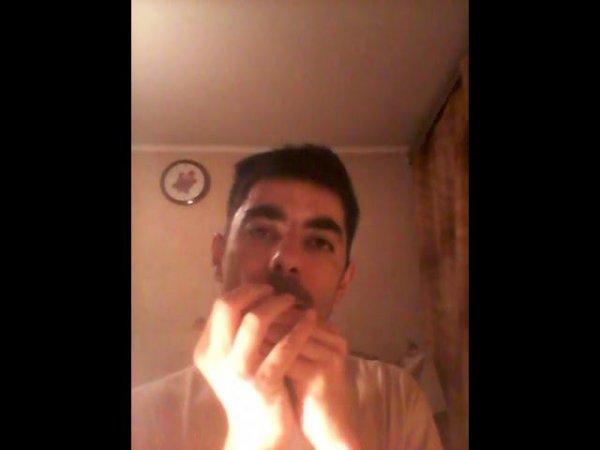 романтический риф/romantic riff #stratocastro #harmonica #harp #губнаягармошка  #shorts