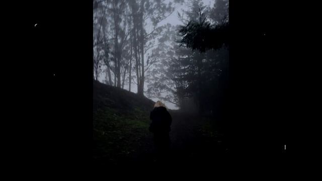 [FREE] quannnic x deftones x shoegaze type beat - "doubts"