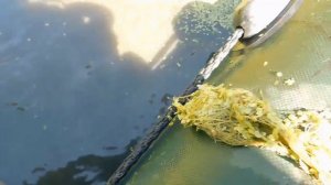 Пруд готов! Наполняем водой! Свой пруд в саду!