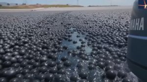 Зачем в водохранилище 96 000 000 шариков?