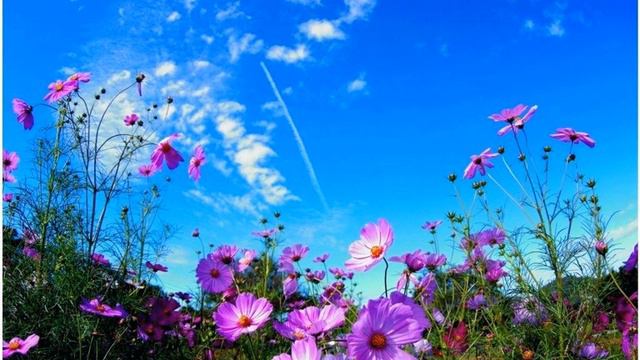 Corinne Hermes - Si la vie est cadeau (Sax cover) смотреть онлайн