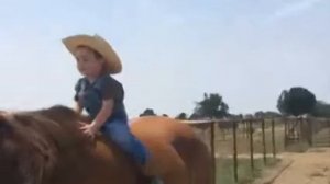 Noah on horseback