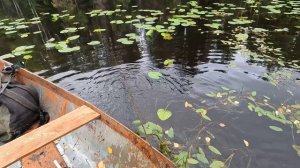 Открытие осеннего охотничье-рыболовного сезона 2024г #6 Начали собирать улов