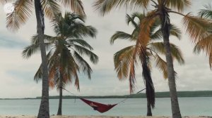 Alan Walker, Dua Lipa, Coldplay, Martin Garrix & Summer Vibes