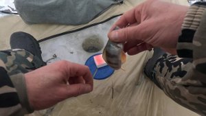 УРАГАНЫЙ ВЕТЕР РВЕТ ПАЛАТКУ -ОКУНЬ ЛОВИТСЯ НА МОТЫЛЯ