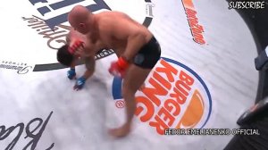 Fedor Emelianenko VS Frank Mir Full Fight Highlights