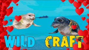 Тюлень Флиппер встречает свою любовь ❤ WildCraft