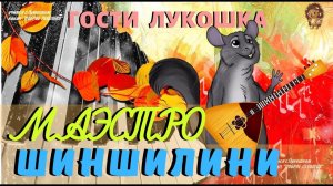 МАЭСТРО ШИНШИЛИНИ | Шиншилла | Музыкальное видео | Видео для детей | Chinchilla