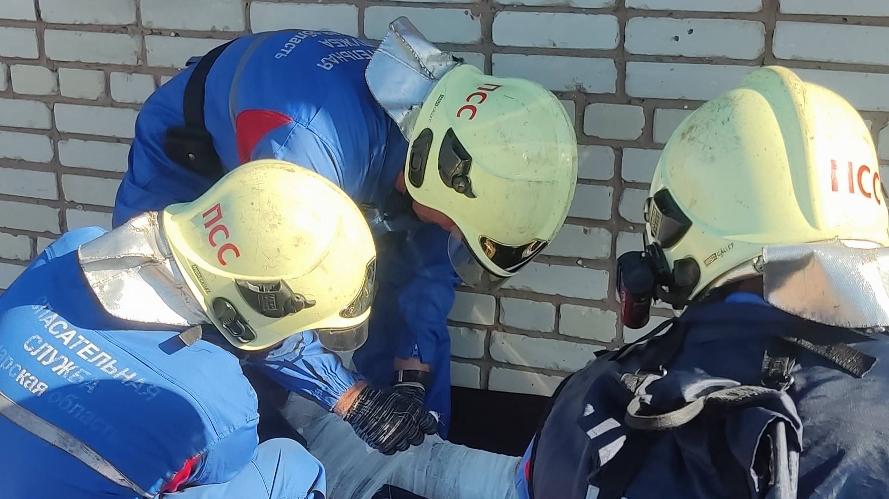 профессиональная работа