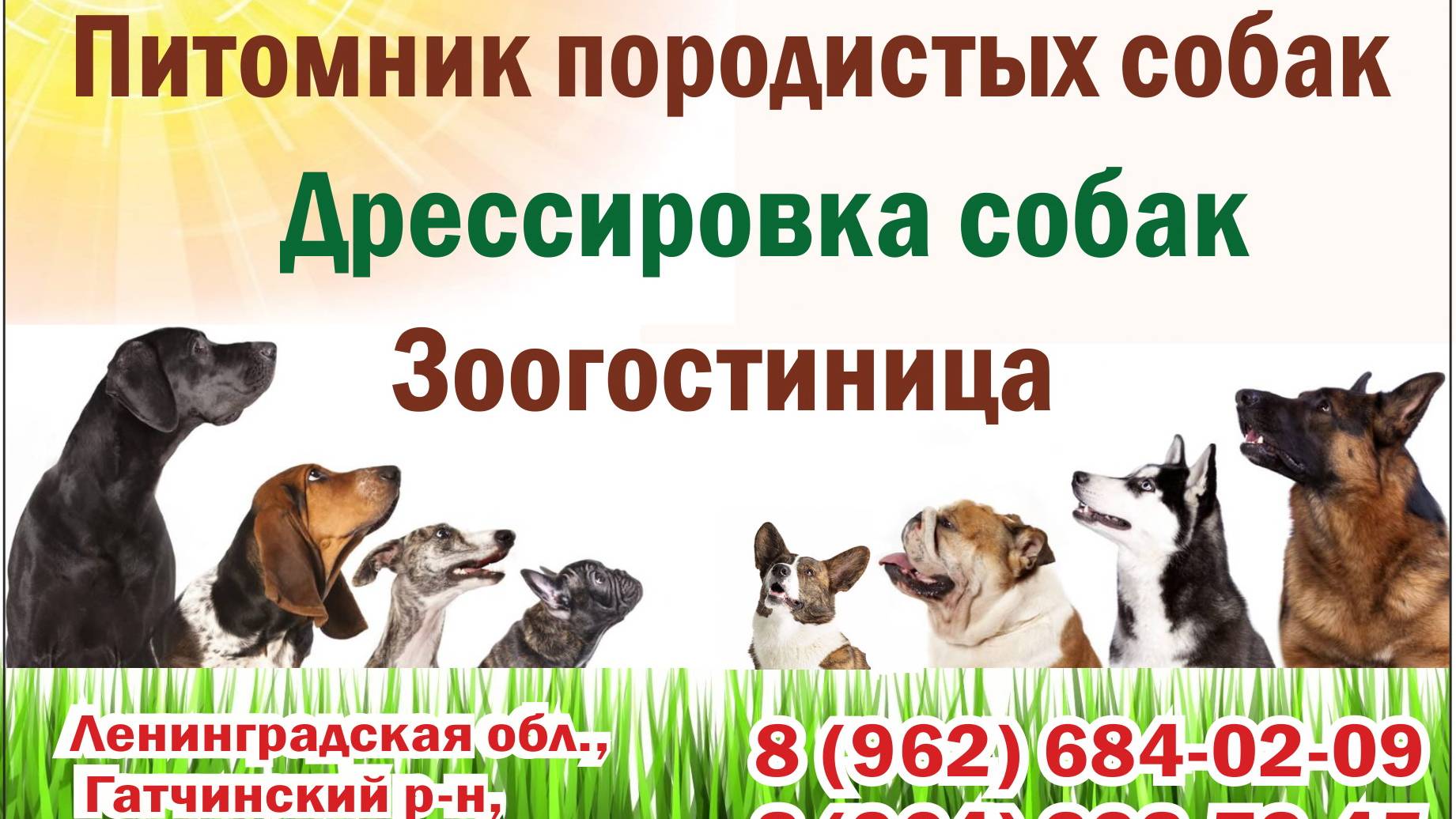 ЗООДОМ Марины Карху - ПИТОМНИК ПОРОДИСТЫХ СОБАК, ДРЕССИРОВКА, ЗООГОСТИНИЦА в Гатчине.