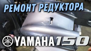 Сколько стоит ремонт редуктора YAMAHA 150