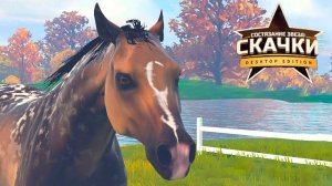 Выводим наследную арабскую лошадь 10 класса  Rival Stars Horse Racing