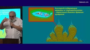1. Вводная лекция. О происхождении жизни. Зоология беспозвоночных - Малахов В.В. Teach-in.