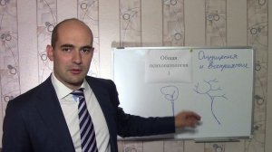 4. Нейрофизиологические основы