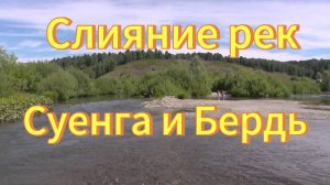 Слияние рек Суенга и Бердь. Село Суенга Маслянинский район. Природа Новосибирской области.