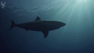 Любовь к тебе исцеляет 1 сезон 38 серия