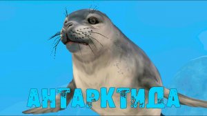 Покупаем ТЮЛЕНЯ и исследуем АНТАРКТИДУ ❤ WildCraft