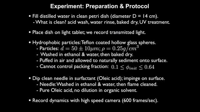 Surfactant dynamics - Complexity in a petri dish - theory