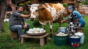 Сыр Адана из Коровьего Молока: Деревенские Традиции 🐄🍃