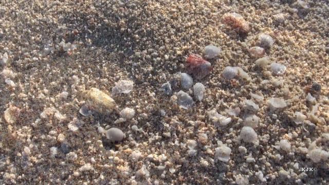 Danny Carvalho Slack Key North Shore Excursion смотреть онлайн