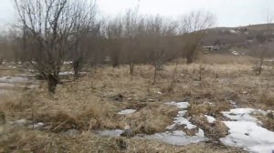 Половодье на Суре - 2023! Ждём ледохода!