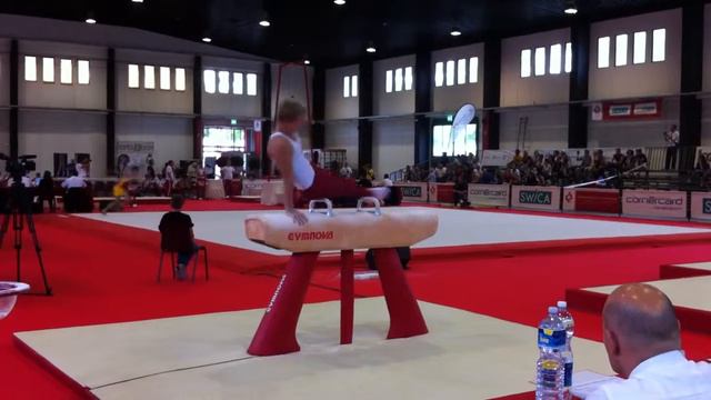 2013 Tobias Stöckli Kunstturnen Pauschen P6 SMM Lugano смотреть онлайн
