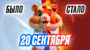 🐹 HAMSTER KOMBAT - Как За 2 дня Вывести деньги !