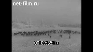 1967 г. Нарьян- Мар. Писатель Познер В.С.