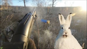 ОХОТА НА ЗАЙЦА ｜ И КТО ЖЕ ТУТ КОСОЙ!？ БЕЗ ДОБЫЧИ НЕ ОСТАЛСЯ (2023)
