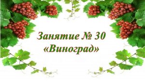 Кружок Фантазеры Занятие № 30 Виноград