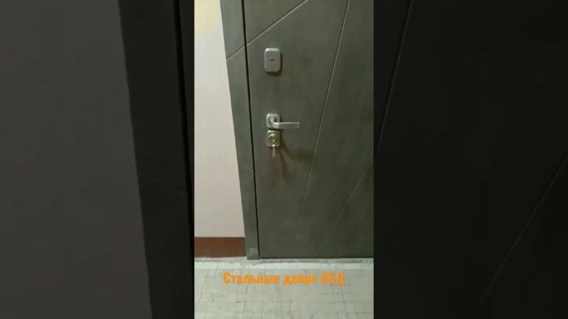 Стальные двери АСД www.as-doors.ru Сервис, установка, доставка, подъем на этаж.