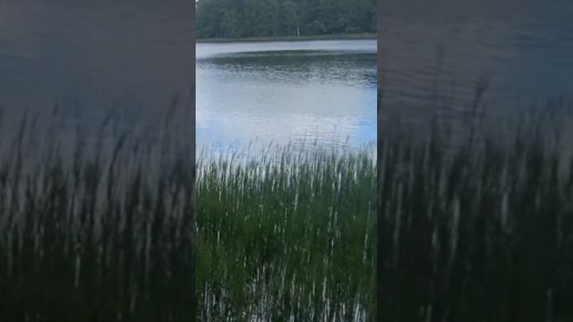 Наши Красоты!