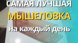 Самая лучшая мышеловка на каждый день